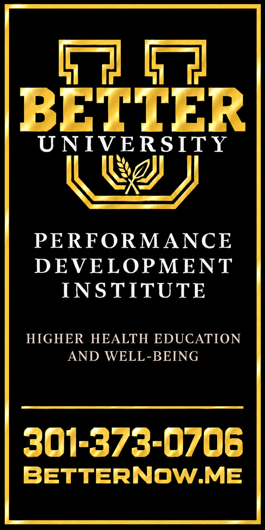 Better University Performance Development Institute sign